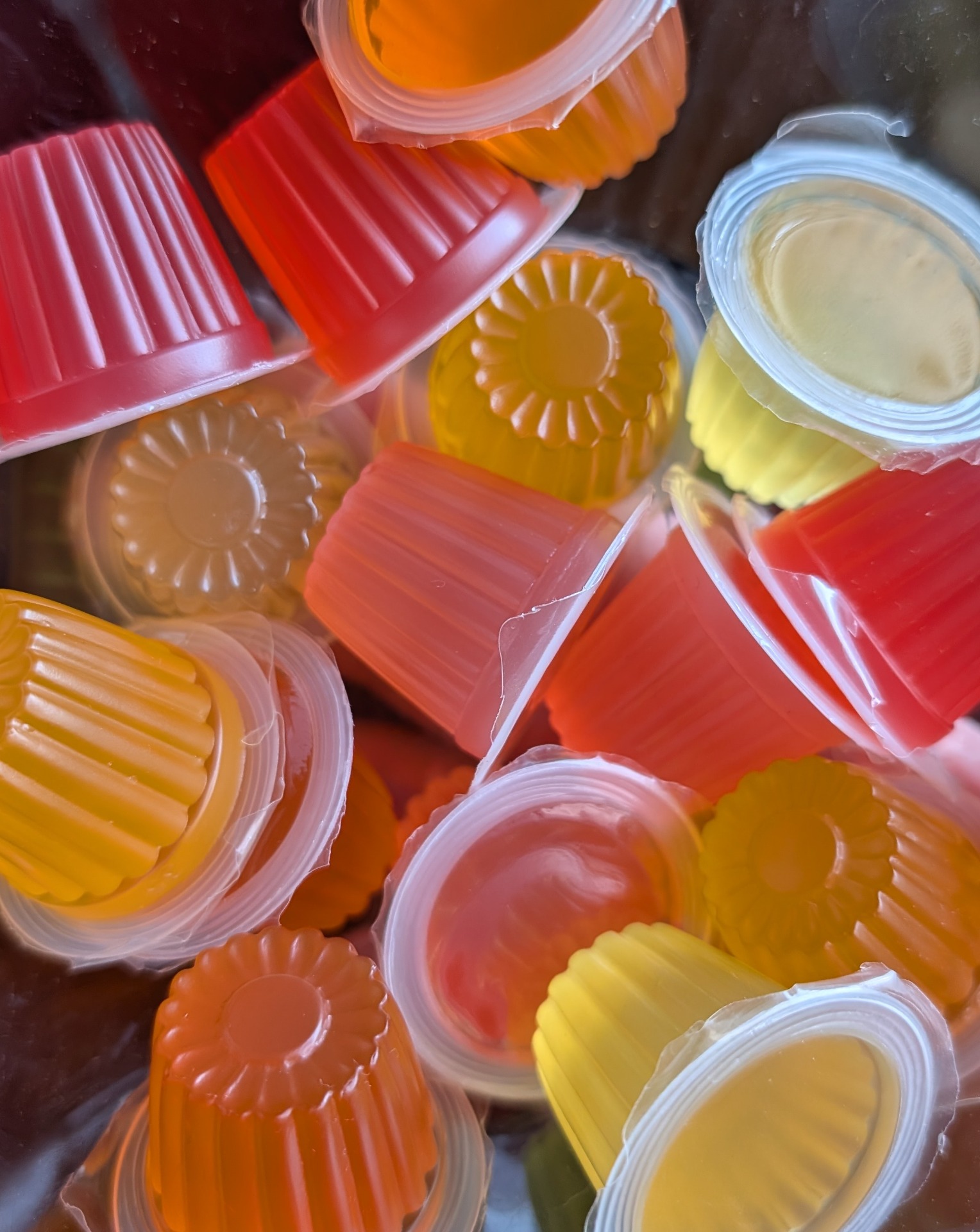 Insect jelly pots mixed flavours