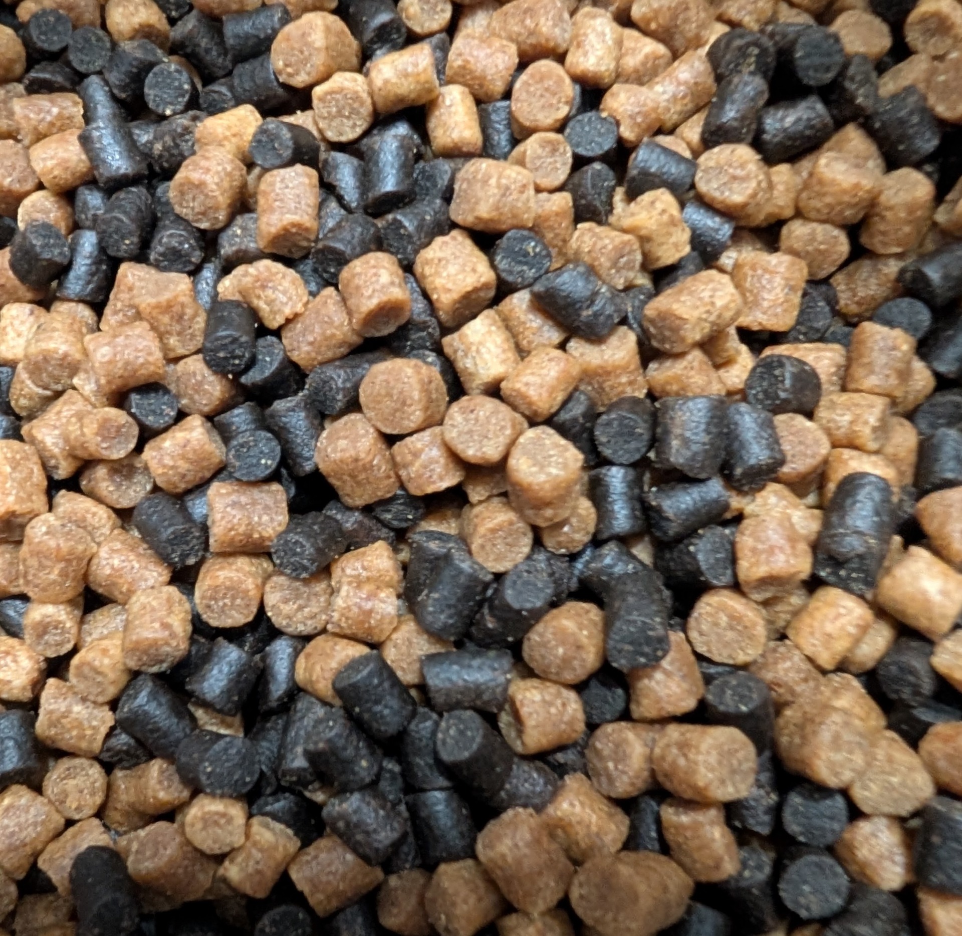 Winter feed for all pond fish including koi