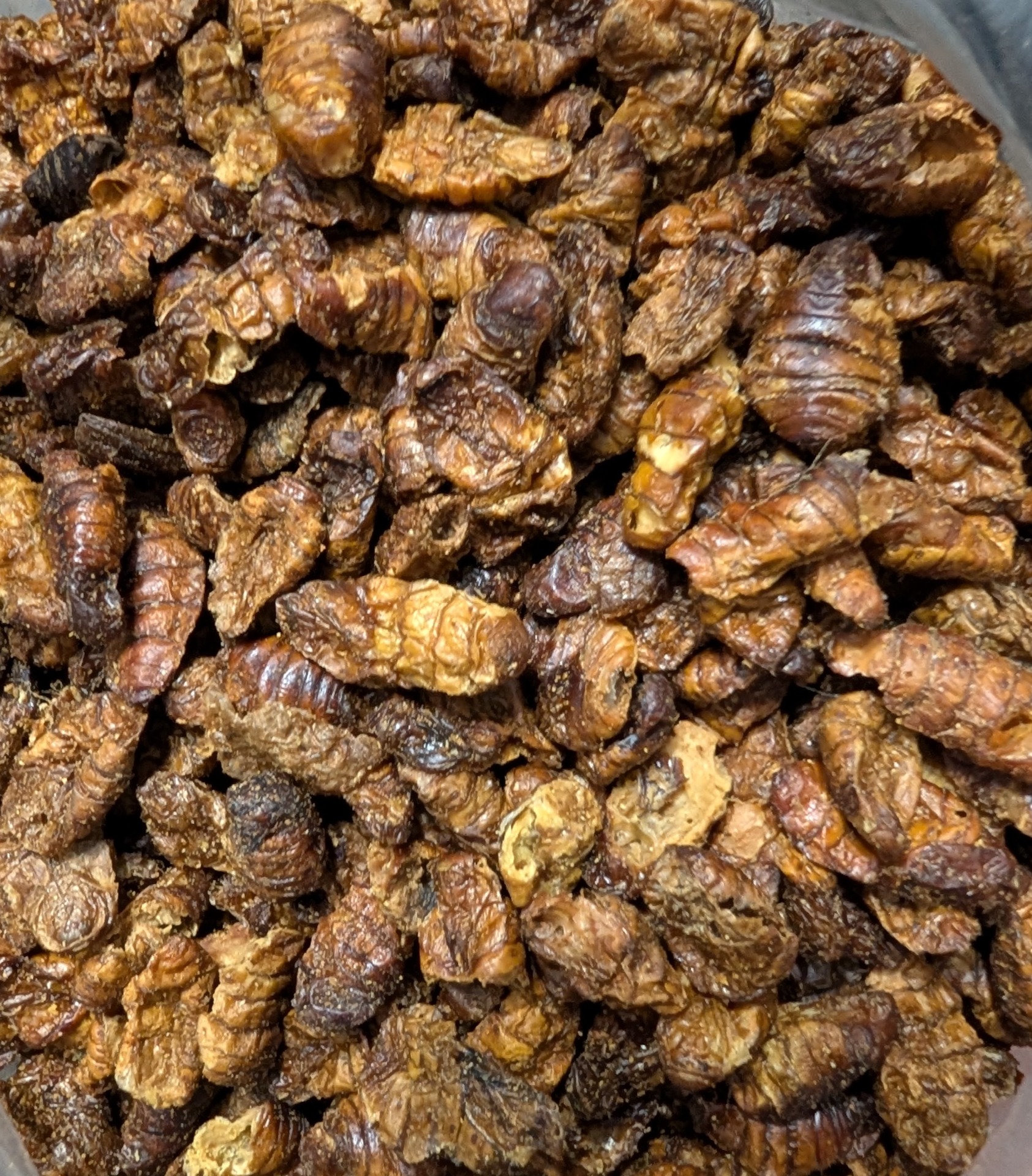 Dried silkworm pupae
