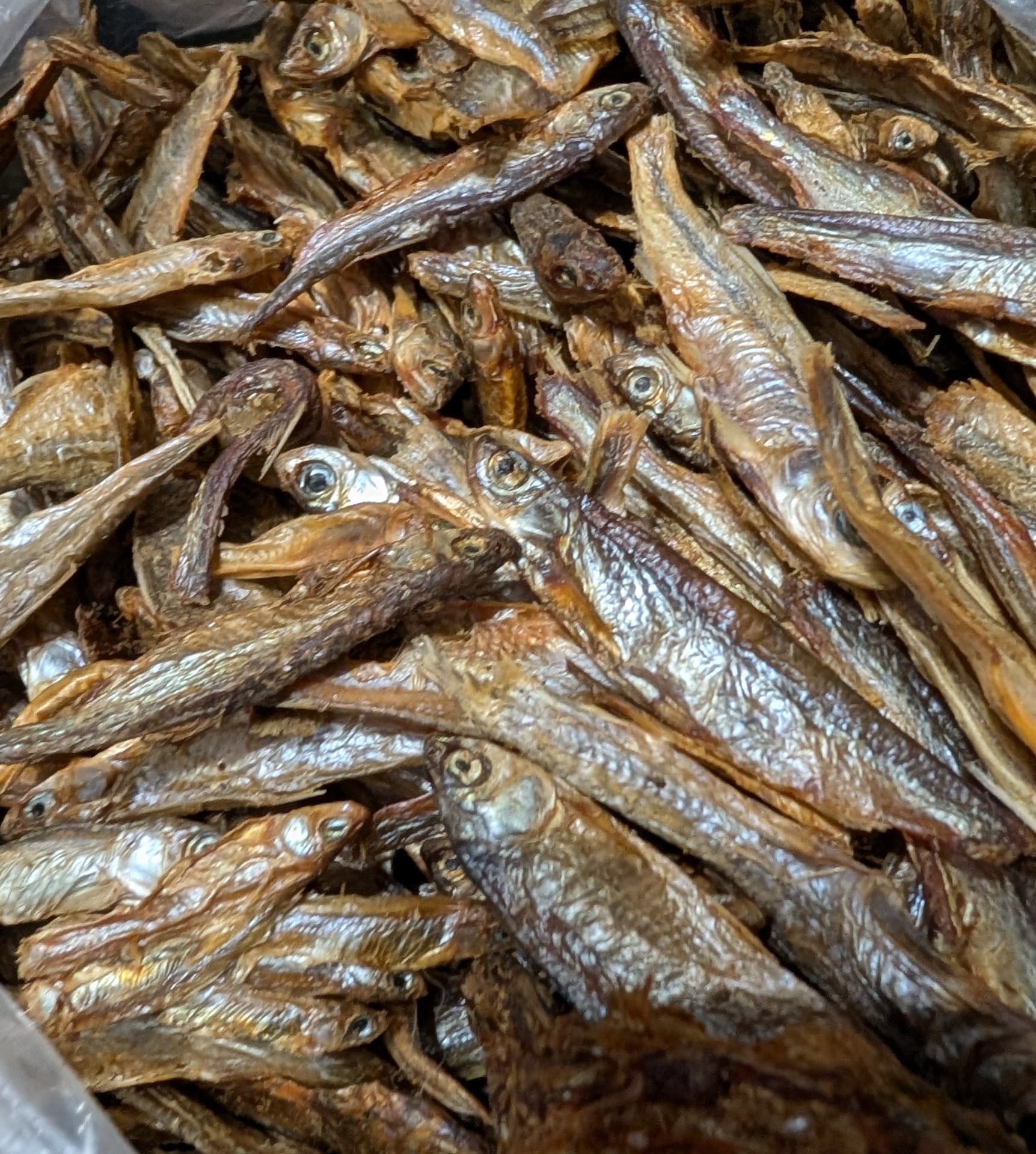 Dried sprats for cats, dogs and inverts