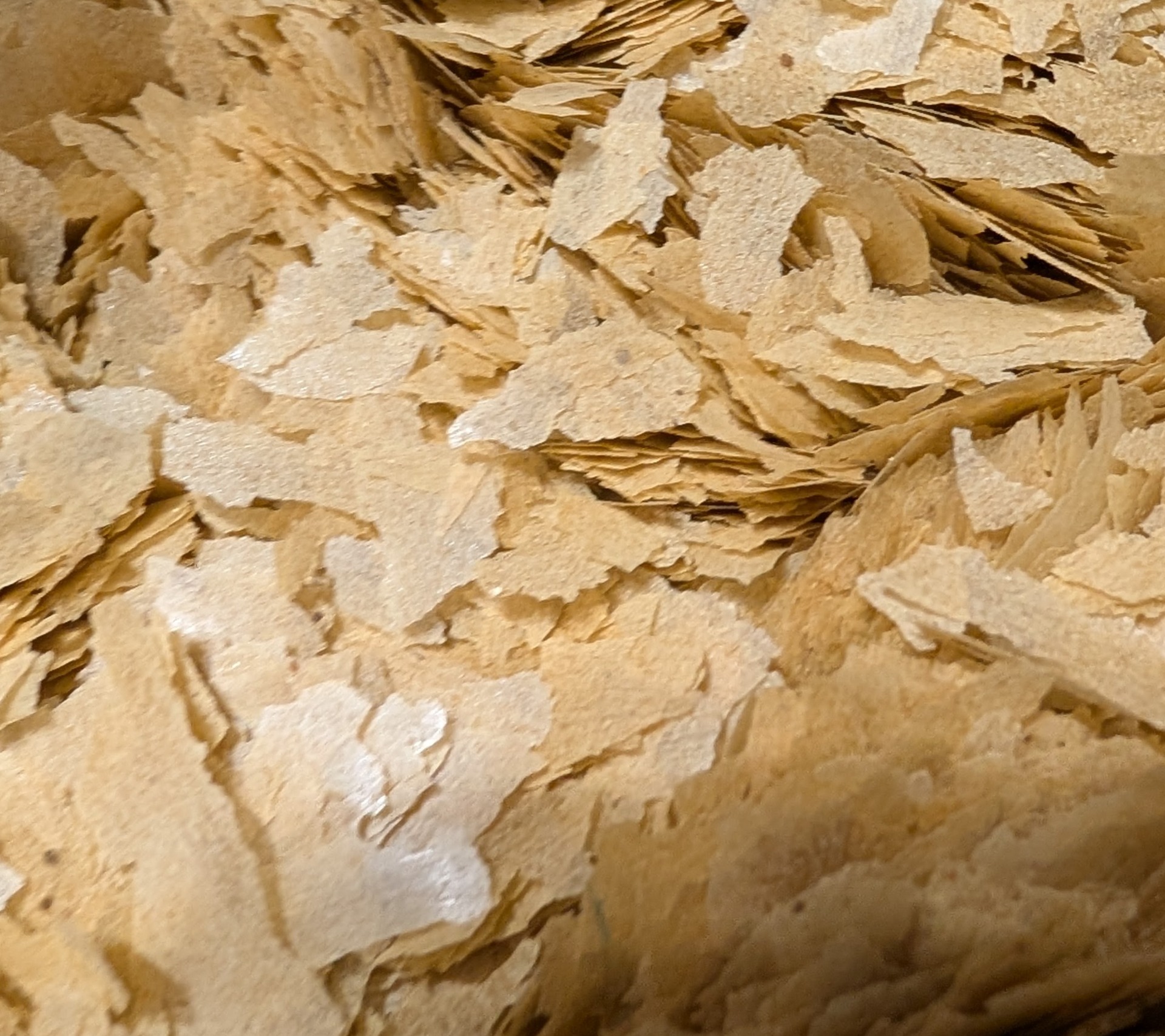 Tubifex flake, an alternative to tubifex cubes