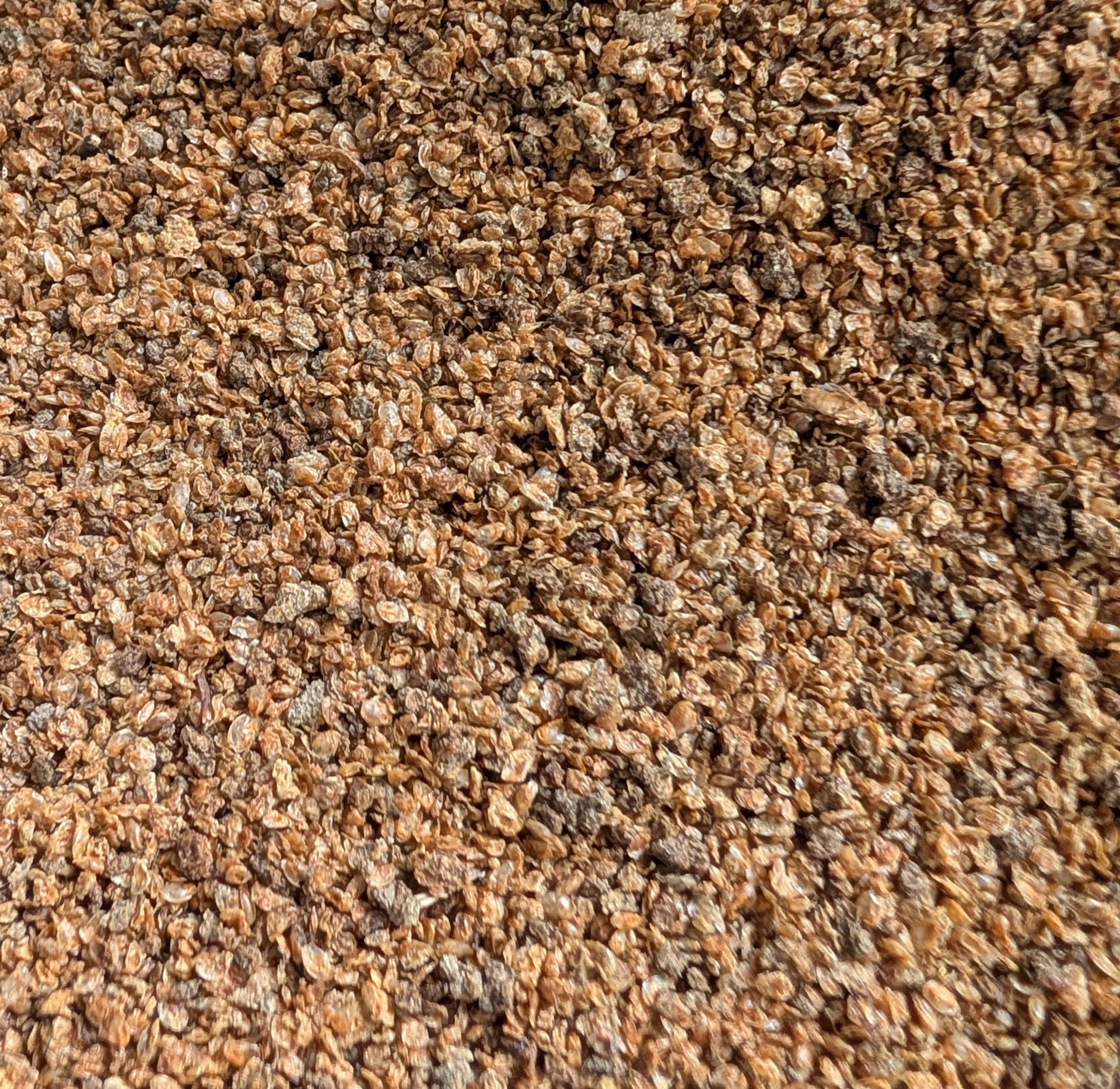 Freeze dried daphnia