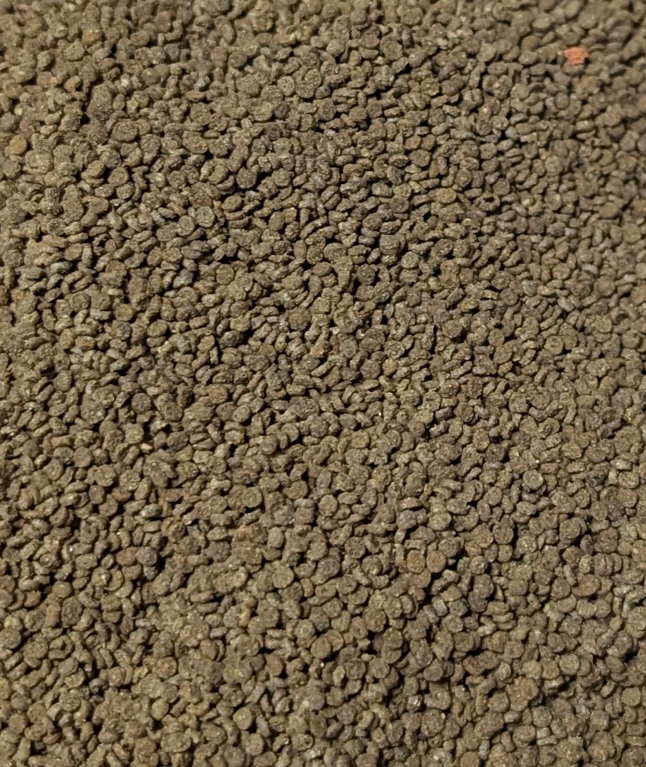 Algae pellets 2mm