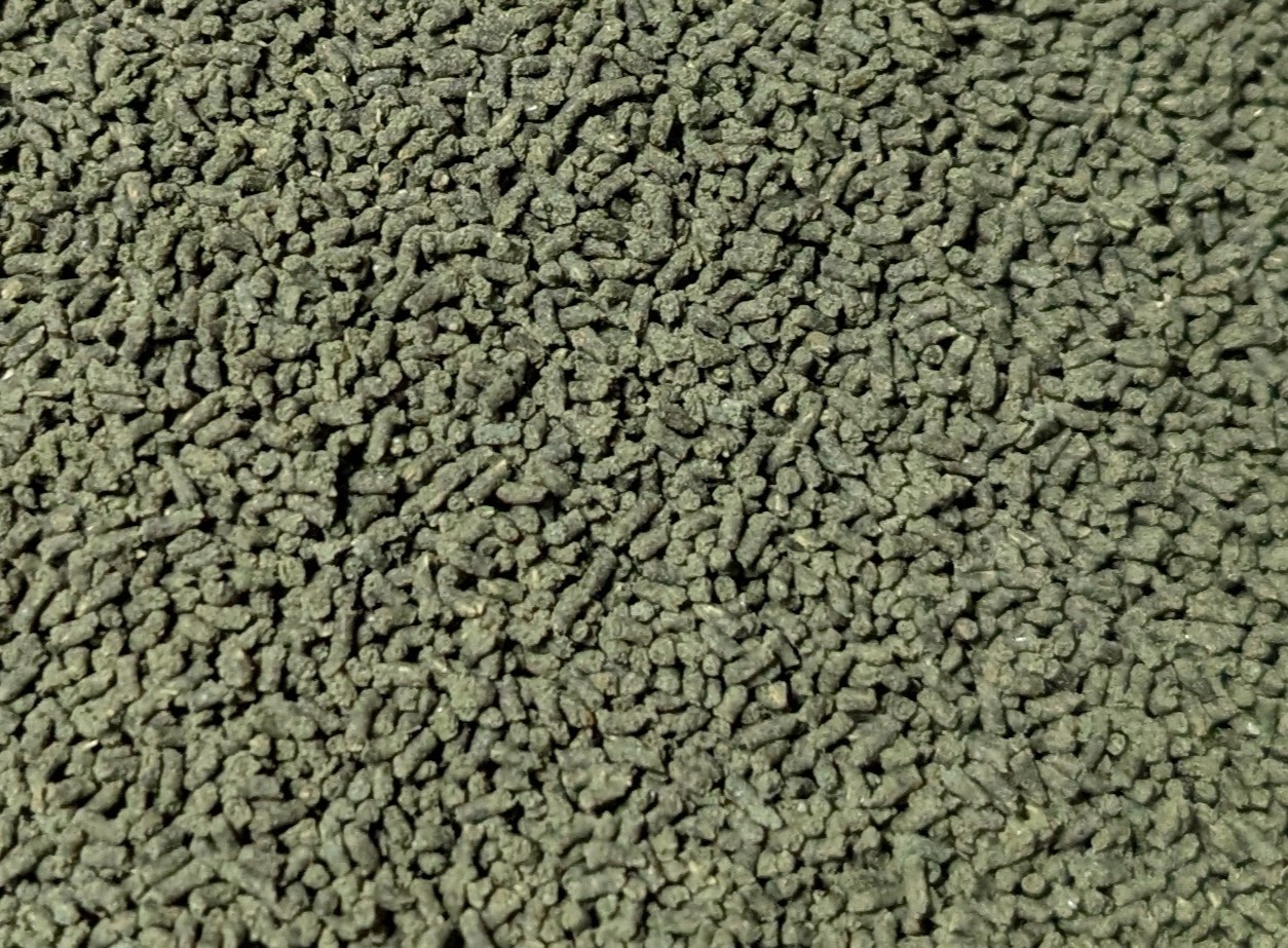 Nano carodina sticks feed for shrimps 