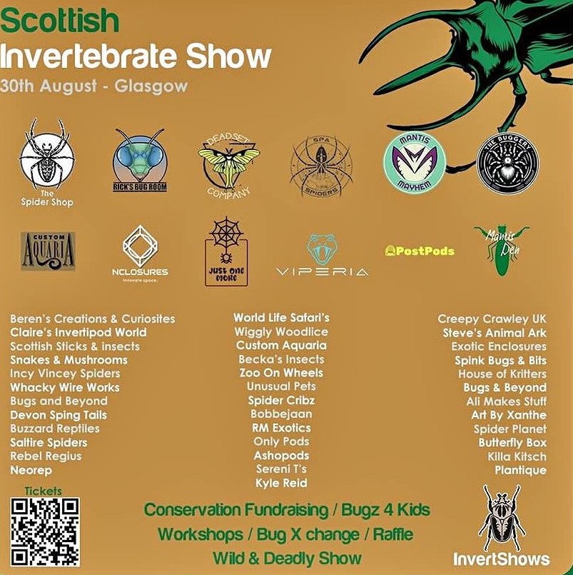 scottish invert show glasgow rm-exotics deals bugs creepy crawlies 